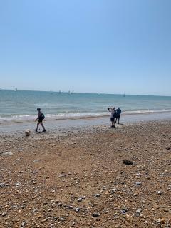 Looking out at the yachts on Pevensey Bay
